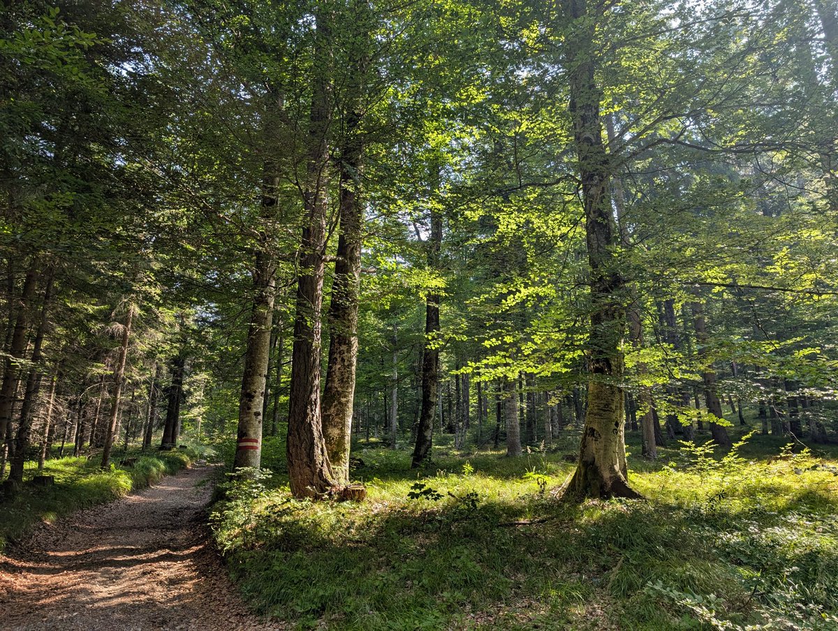 Chilperic tweet media