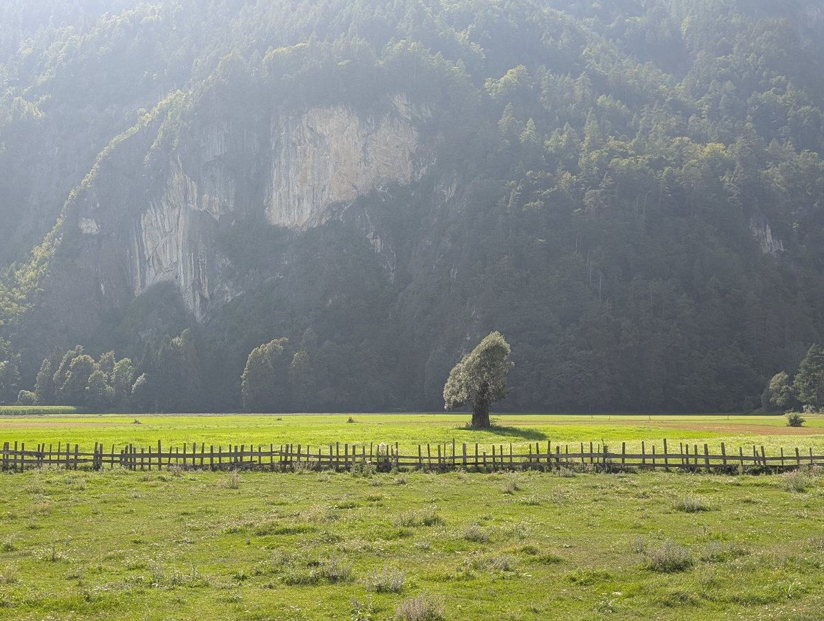 Chilperic tweet media