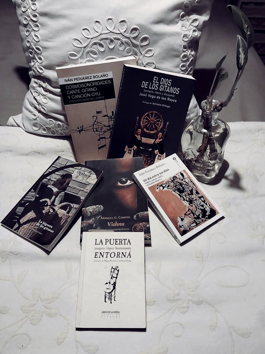 LECTURA RECOMENDADA

He leído estas obras con fruición, en tres de ellas incluso firmó sus prólogos, por lo que las conozco extremadamente bien. Todas están escritas por gitanos que alcanzan la excelencia literaria. Recomiendo, pues, sus lecturas. Sublimes.