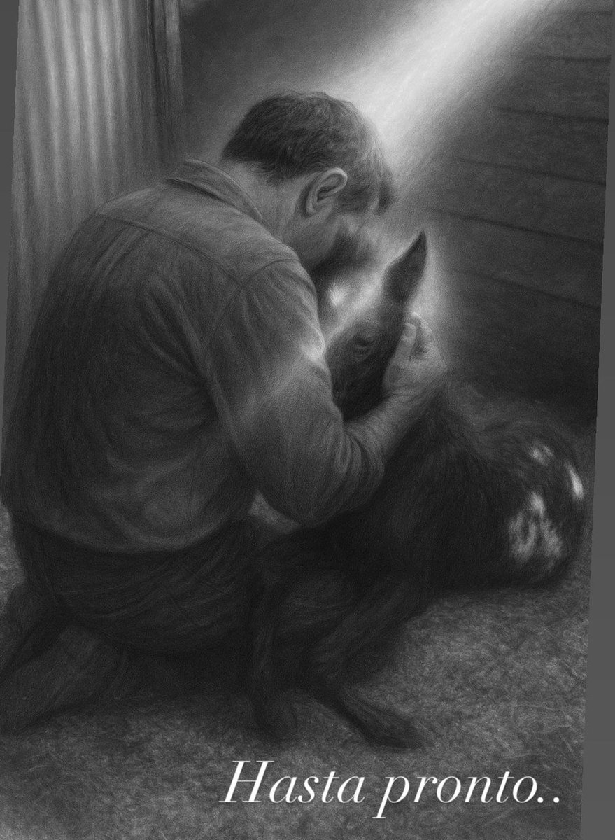 Hoy tenemos que despedirte, pequeña 💔.

Apenas habías empezado a conocer la vida… y llegamos tarde a tu dolor.
Tus patas y tus manos ya no te respondían.
Habías dejado de intentar levantarte… y, sin embargo, cada vez que nos mirabas, tus ojos seguían diciendo: “Acá estoy”.