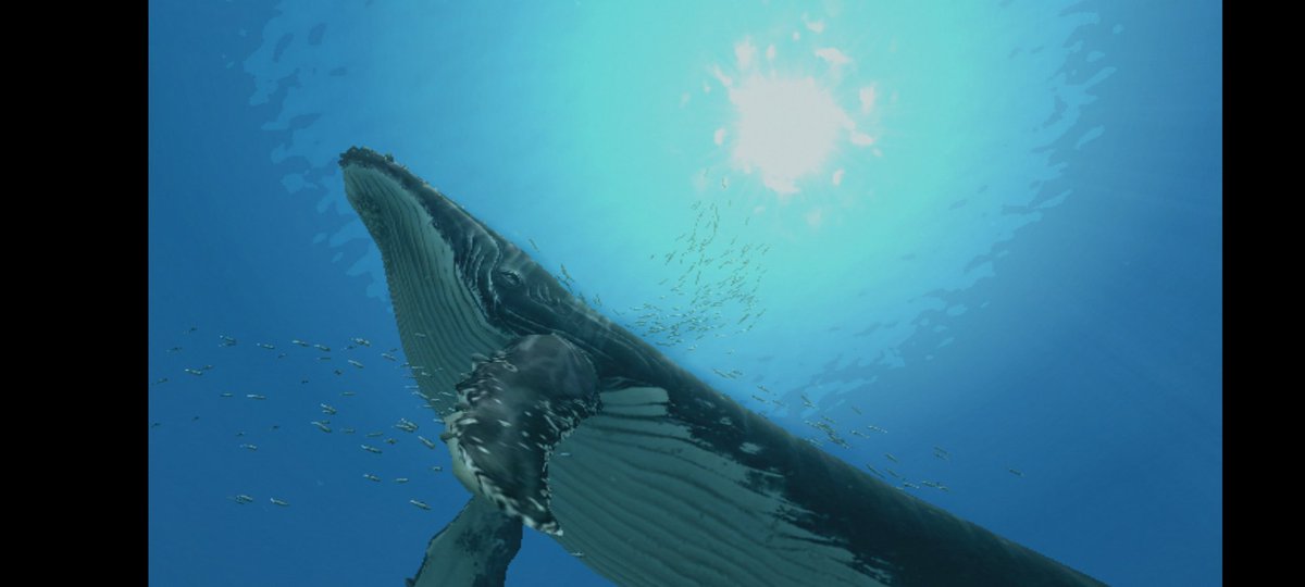 sunday_times's tweet photo. Going back to Endless Ocean 2 on the Dolphin Android emulator. I much prefer the story based gameplay of this than the online heavy Switch sequel. #EndlessOcean2 #Wii https://t.co/CuWeUh0mS2