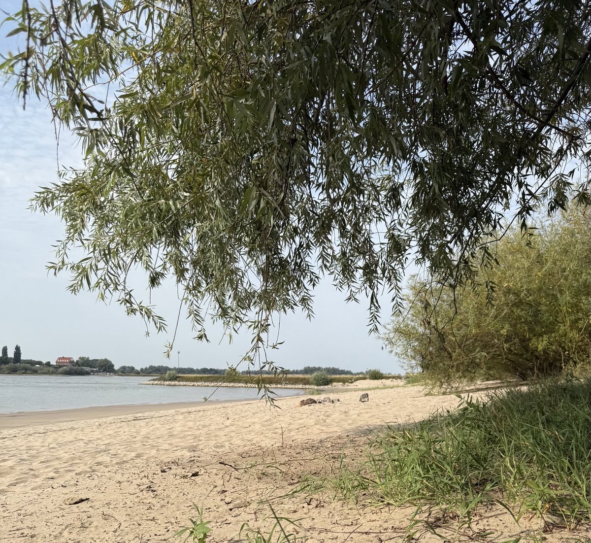 𝑆𝑡𝑒𝑟𝑟𝑒 tweet media