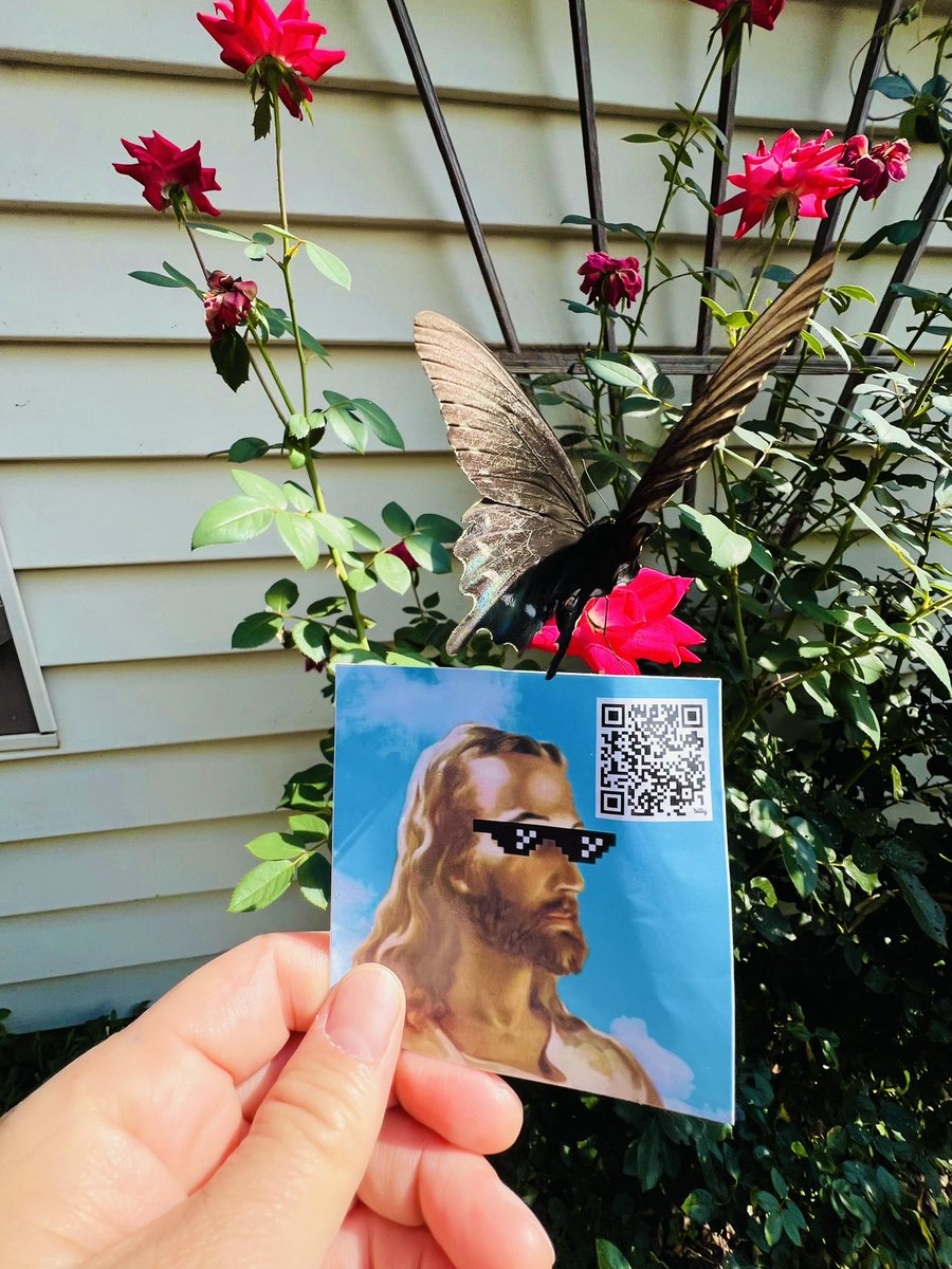 🙏Kinbarii tweet media