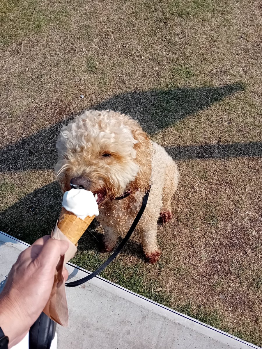 It is often the most simplest of activities that bring the most joy