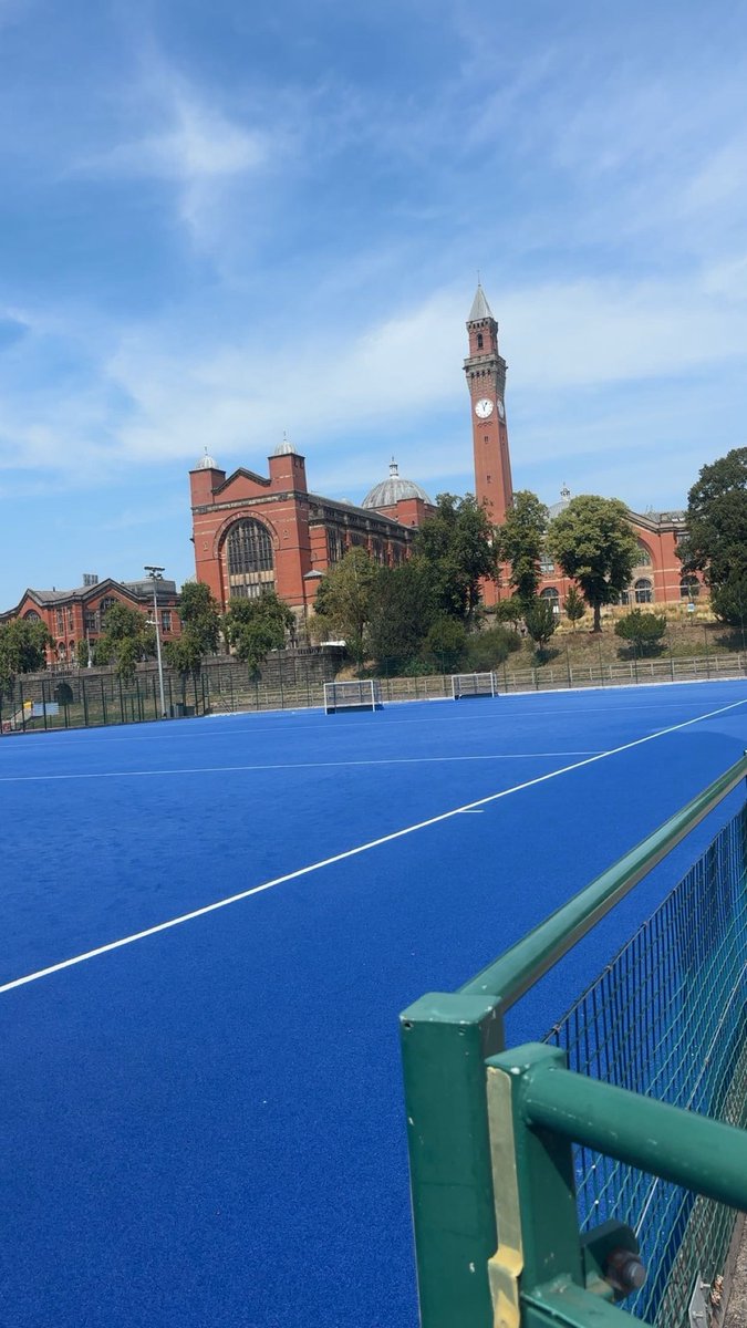 Seb Hibbard tweet media