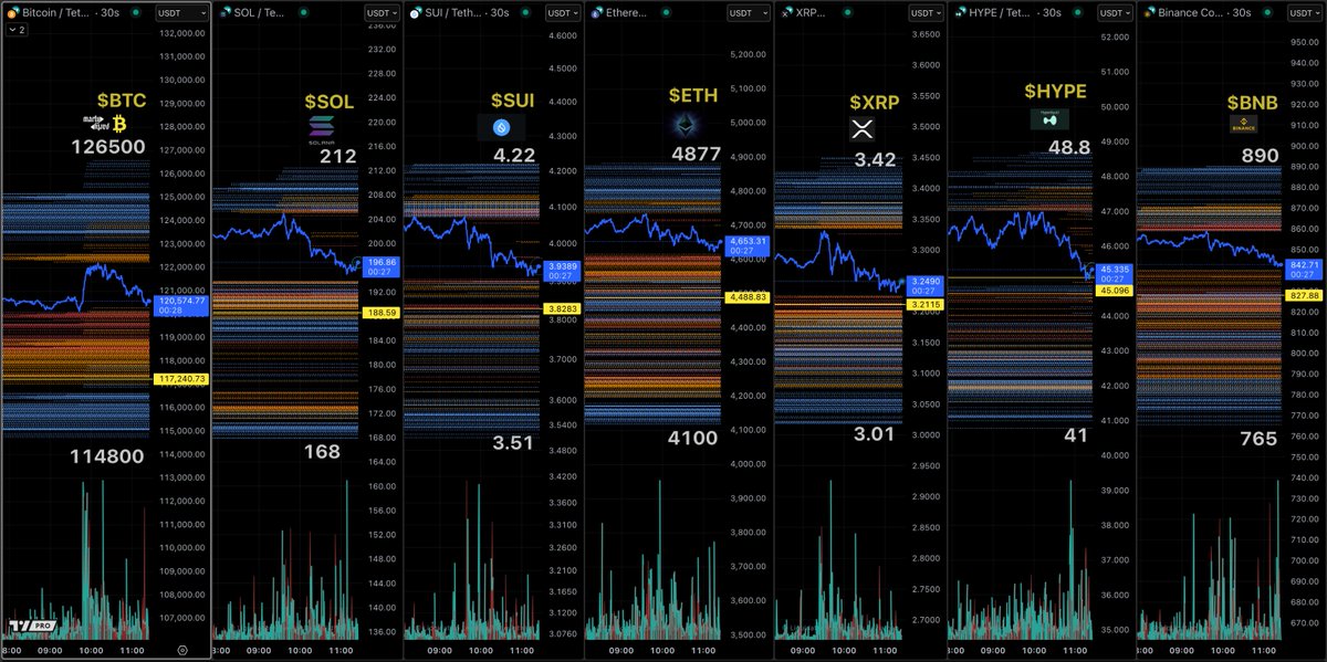 MartyParty's crypto liquidation levels chart showing BTC, SOL, SUI, ETH, XRP, HYPE, and BNB with marked pullback lines