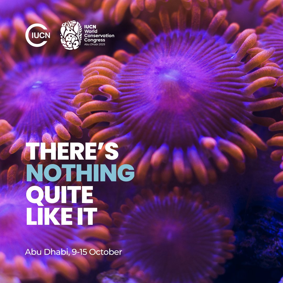 IUCN's tweet photo. The largest global gathering of #conservation experts, leaders and decision makers. 

Learn.
Share.
Be Heard.

Register now for the #IUCNcongress ➡️ https://t.co/jM9ldZV3n4 https://t.co/DSfIgiGAzG