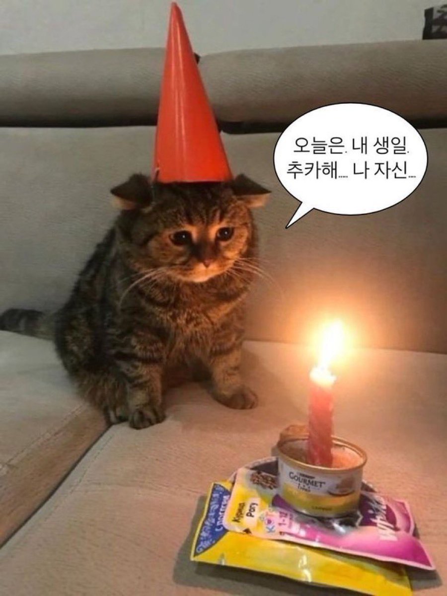 미리 축하해주셔서 감사합니다 ^_^