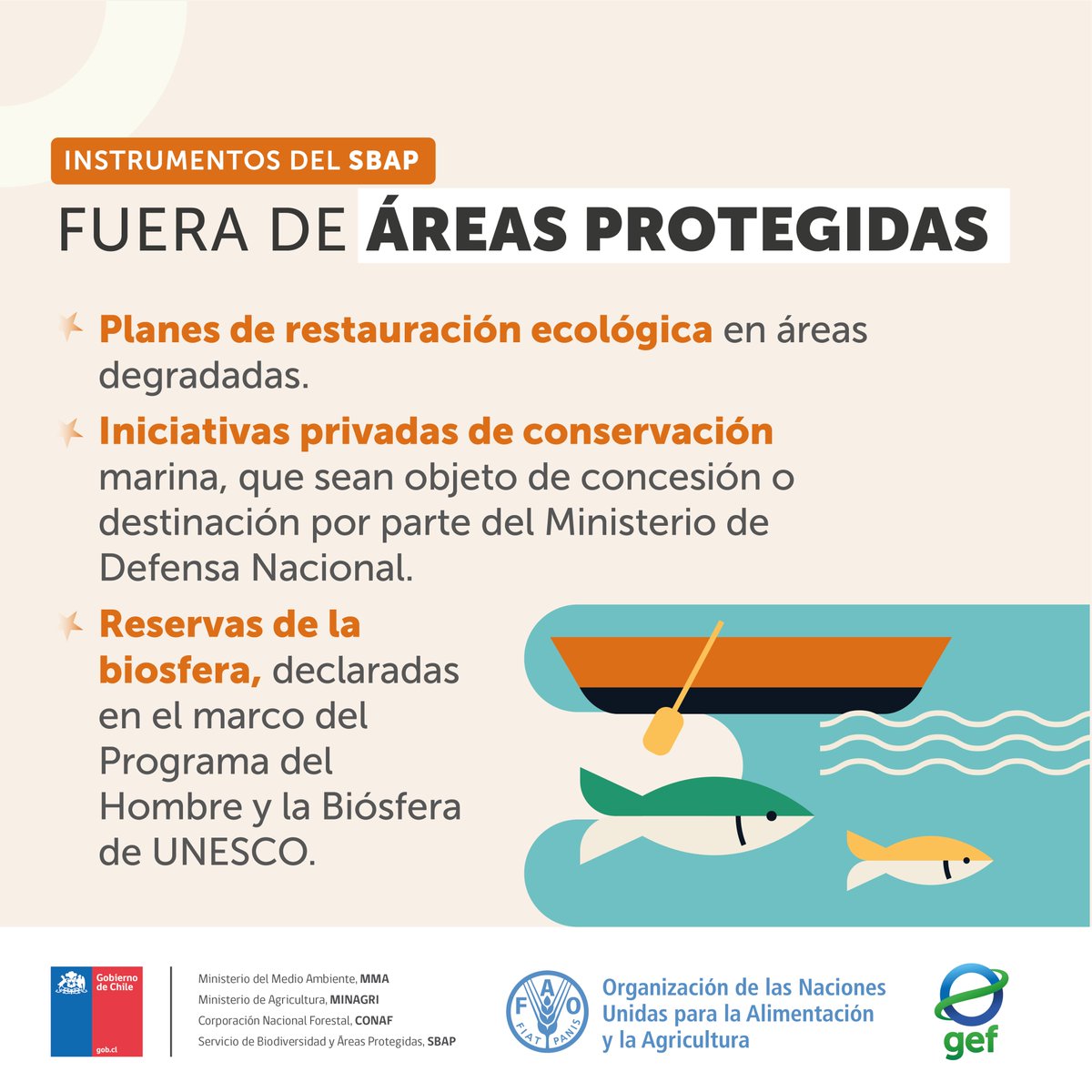 FAOChile's tweet photo. Junto a #GEFSBAP te invitamos a saber más sobre el Servicio de Biodiversidad y Áreas Protegidas 🏞️
🦊 Este nuevo servicio gestionará todos los instrumentos de conservación de la biodiversidad, tanto dentro como fuera de las áreas protegidas.
Conoce más 👇
@theGEF https://t.co/UpMENXFvJ6
