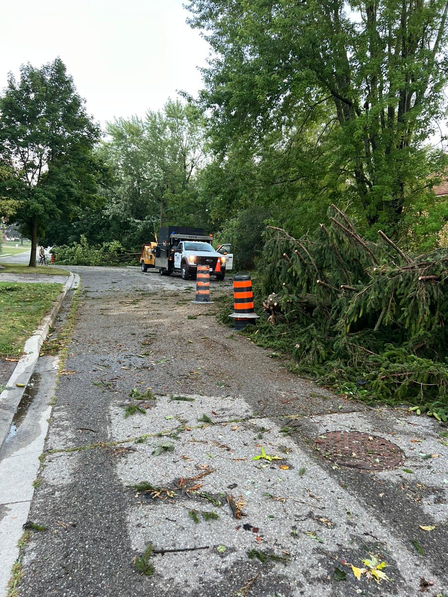 Last night’s storm left many damaged trees across King City and Nobleton, and the Parks crew is working hard to cleanup fallen trees on Township property. Their first priority is removing obstructions from roadways to keep everyone safe and traffic moving.
