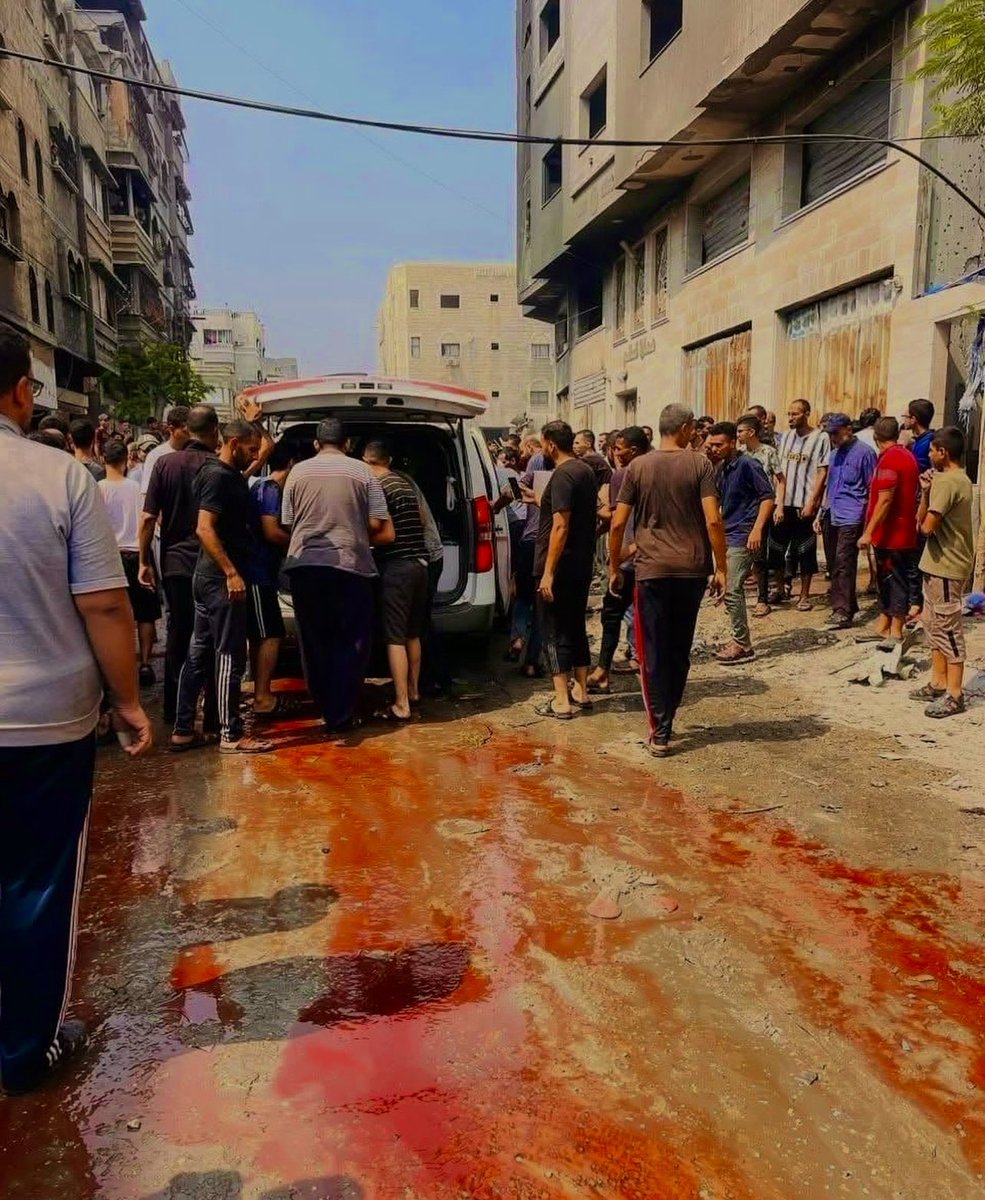 إسرائيل اليوم قتلت 81 انسان في غزة وسفكت نهر من الدماء.

- أنتهى الخبر كملو حياتكم