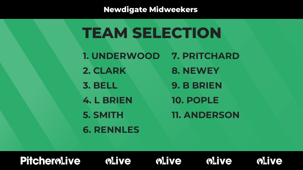 Newdigate Cricket Club 🏏 tweet media