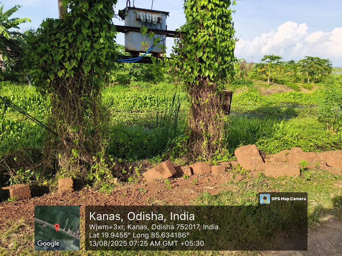 Ranjan Kumar Behera tweet media