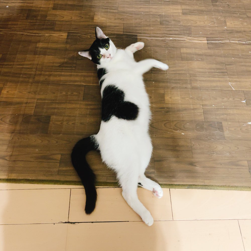 ゴロゴロ
