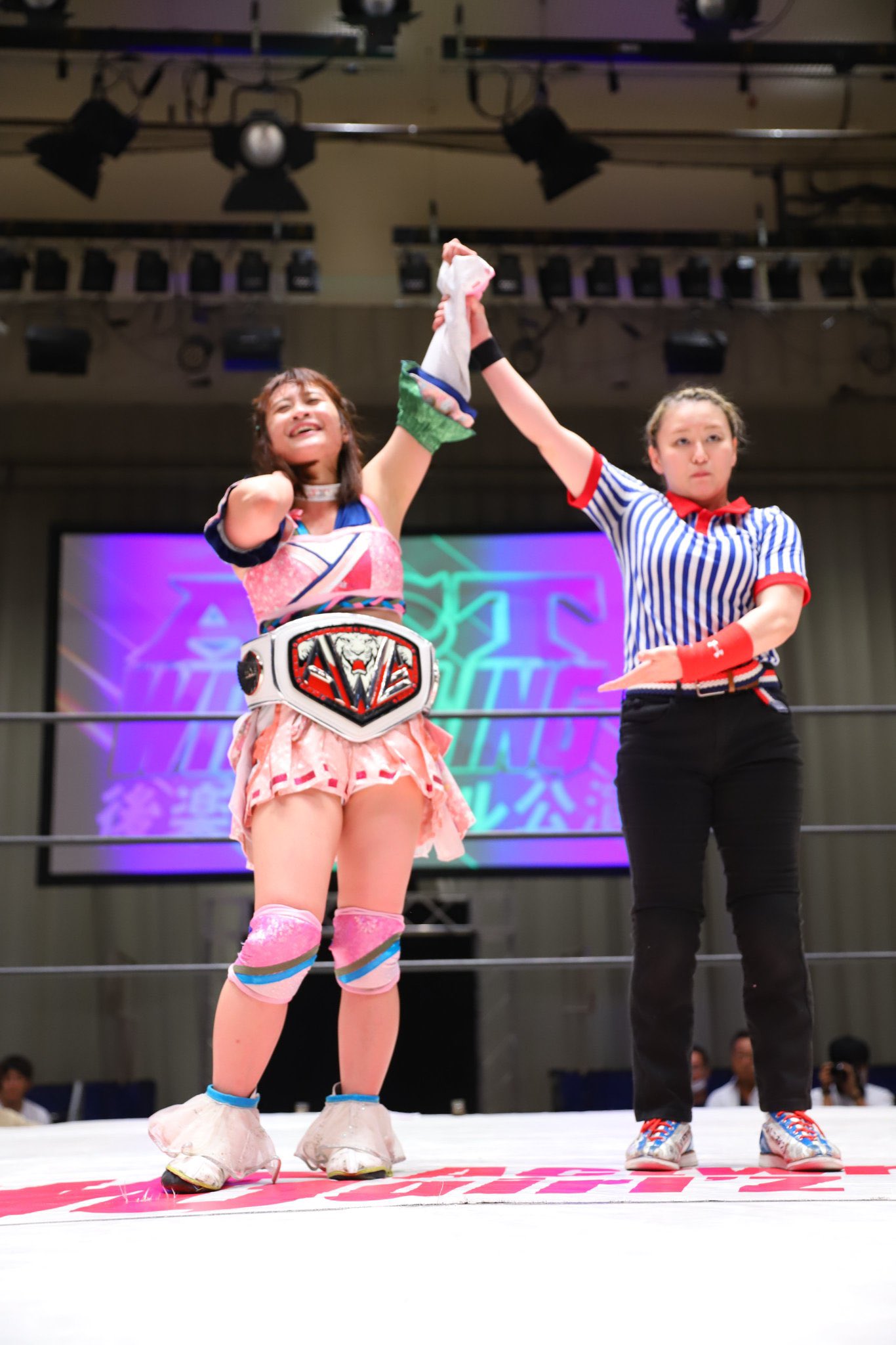 マグステージ ファイティングジャム リュウ 春麗 さくら イングリット レオ マグステージ CAPCOM FIGHTING Jam 春日野さくら、春麗 : DX