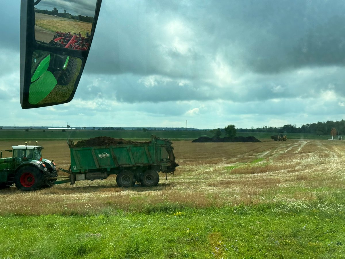 Mark McLean tweet media