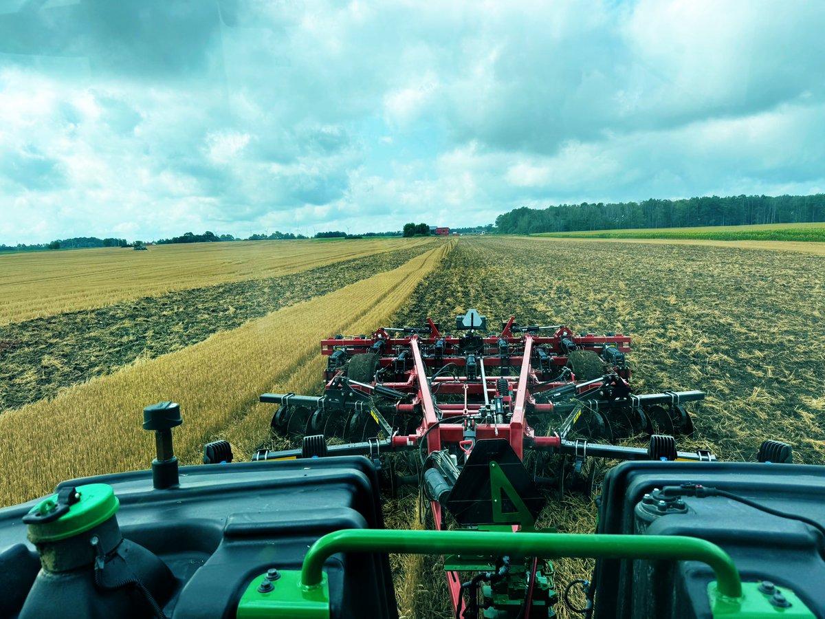 Mark McLean tweet media