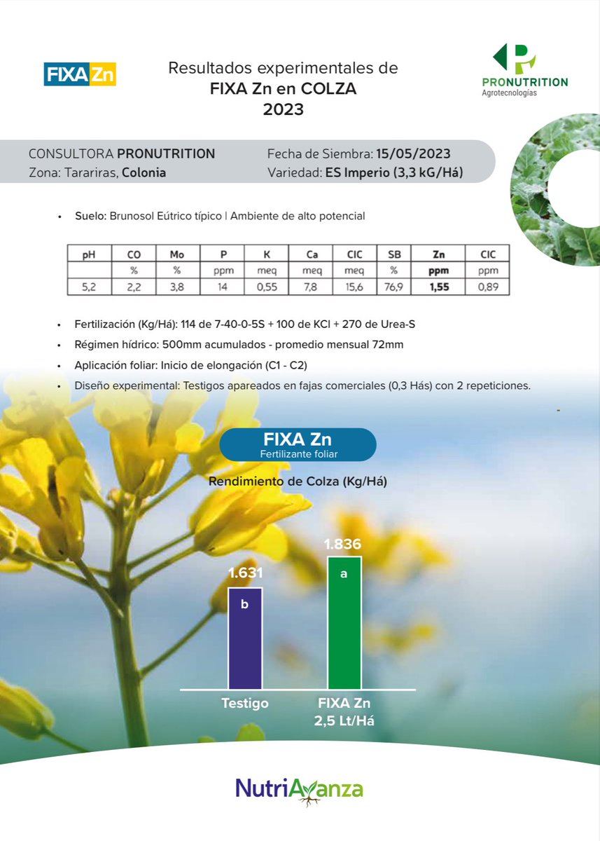 La #Colza necesita 150 gr Zn/ton
3 veces más que Trigo y Cebada

Resultados experimentales realizados por las consultoras <a href="/UnicampoU/">Unicampo Uruguay</a> y <a href="/Pro_NutritionAg/">ProNutrition Agro</a> para el Programa #VALIDAR🇺🇾 demuestran el beneficio de realizar aplicaciones foliares de #FIXAZn🇫🇷
#Nutriavanza <a href="/agroterrauy/">agroterrauy</a>