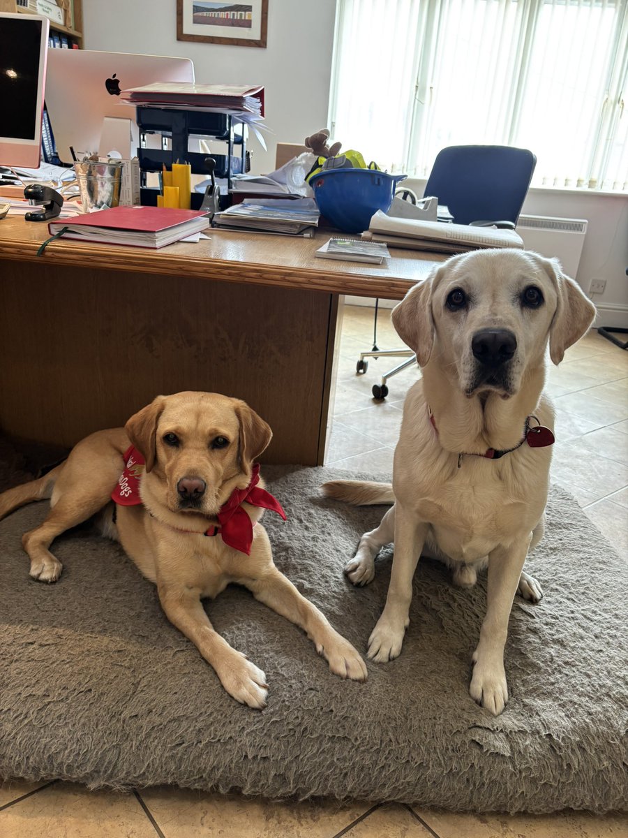 Tashi and I had a magic morning with Sue &amp; Finn <a href="/BeachWoolacombe/">Parkin Estates</a> - we got to sample ice cream, went on paw patrol on the beach &amp; hung out at HQ. We met some of the wonderful staff that keep the beach/facilities ship shape &amp; <a href="/RNLI/">RNLI</a> staff that keep visitors safe in the water 💛🦮 🌊