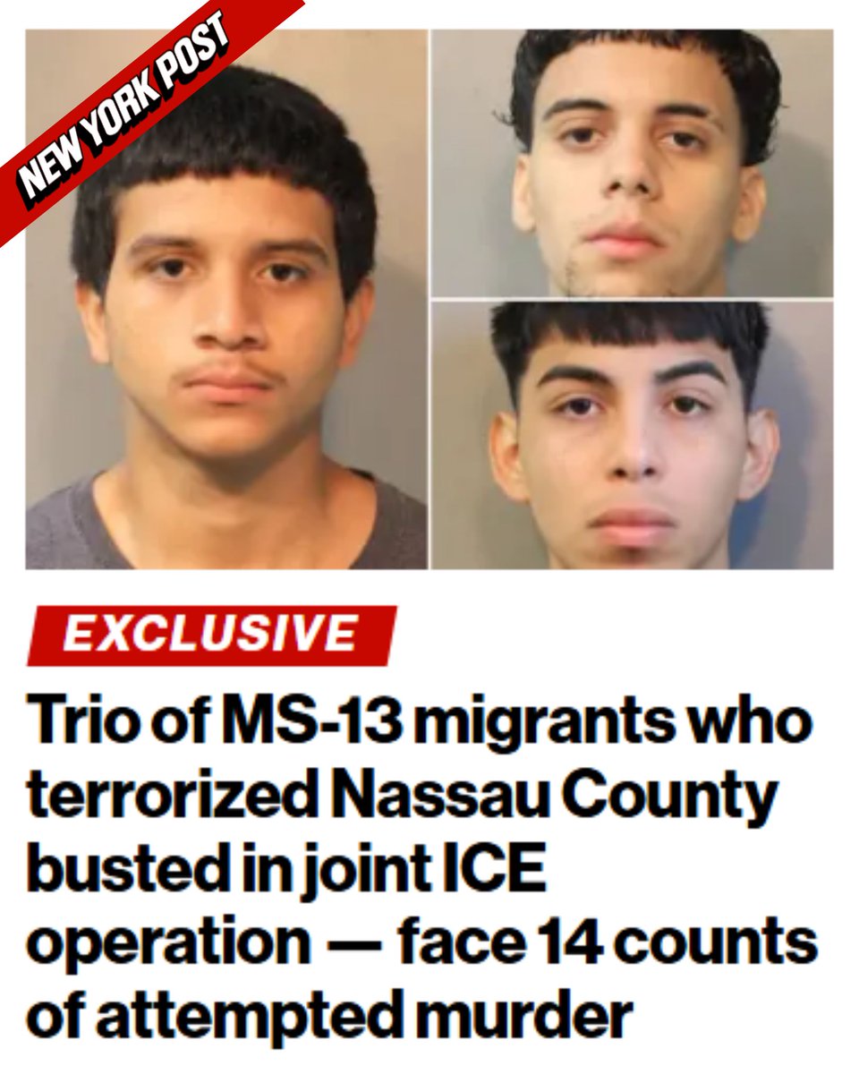 U.S. Immigration and Customs Enforcement (@icegov) on Twitter photo Three MS-13 members charged with 16 counts of attempted murder + 49 counts of assault are in custody and off the streets because ICE, the <a href="/FBI/">FBI</a> and the <a href="/NassauPD/">Nassau Police</a> Nassau County Police Department worked together to make it so!
Thanks to <a href="/NassauExec/">Bruce Blakeman</a> Nassau County Executive Bruce Three MS-13 members charged with 16 counts of attempted murder + 49 counts of assault are in custody and off the streets because ICE, the <a href="/FBI/">FBI</a> and the <a href="/NassauPD/">Nassau Police</a> Nassau County Police Department worked together to make it so!
Thanks to <a href="/NassauExec/">Bruce Blakeman</a> Nassau County Executive Bruce