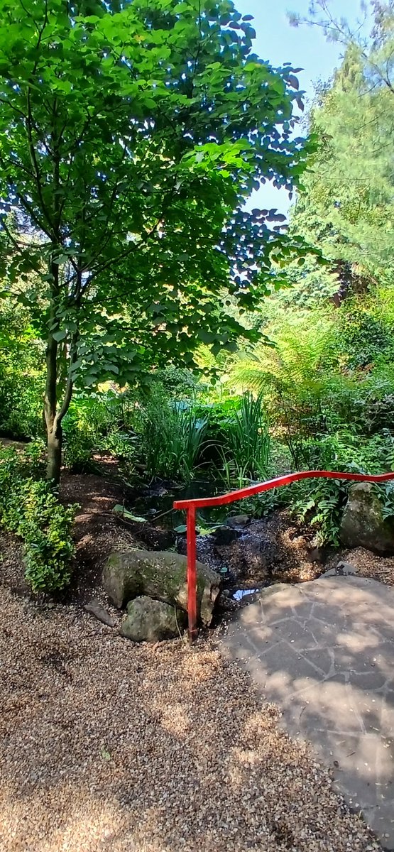 Gillian L Luke (@gluke73) on Twitter photo A lovely well-being walk through Botanic Gardens at lunchtime <a href="/QUBelfast/">Queen's University Belfast 🎓</a> <a href="/QUBstaff/">Queen's Staff</a> #wellness 🥵😎 A lovely well-being walk through Botanic Gardens at lunchtime <a href="/QUBelfast/">Queen's University Belfast 🎓</a> <a href="/QUBstaff/">Queen's Staff</a> #wellness 🥵😎