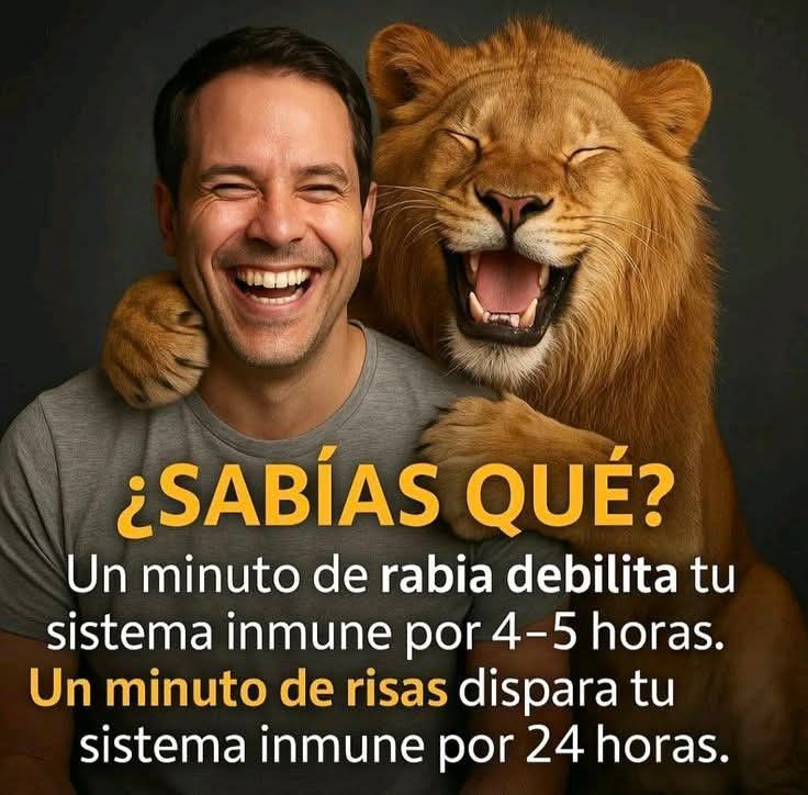 AccionFeroz (@accionferoz) on Twitter photo 