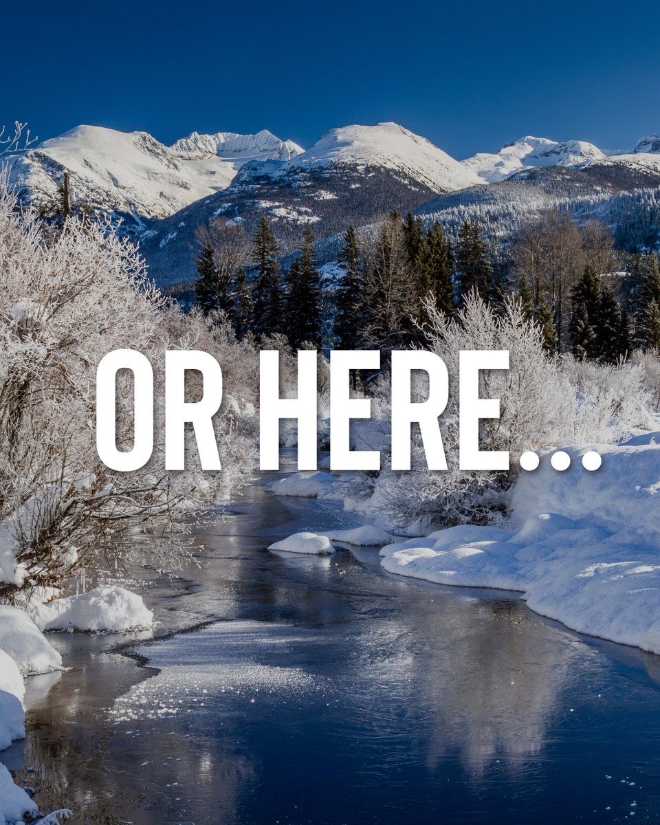 MTNTRVL's tweet photo. We are more than thrilled to welcome our MTS attendees to the beautiful Whistler, British Columbia! From the thrill of the terrain to the charm of the alpine village, it’s sure to make the perfect backdrop to our event. Want to join us? Register today: https://t.co/JlaFYLW22J https://t.co/YPk5P8ABpd