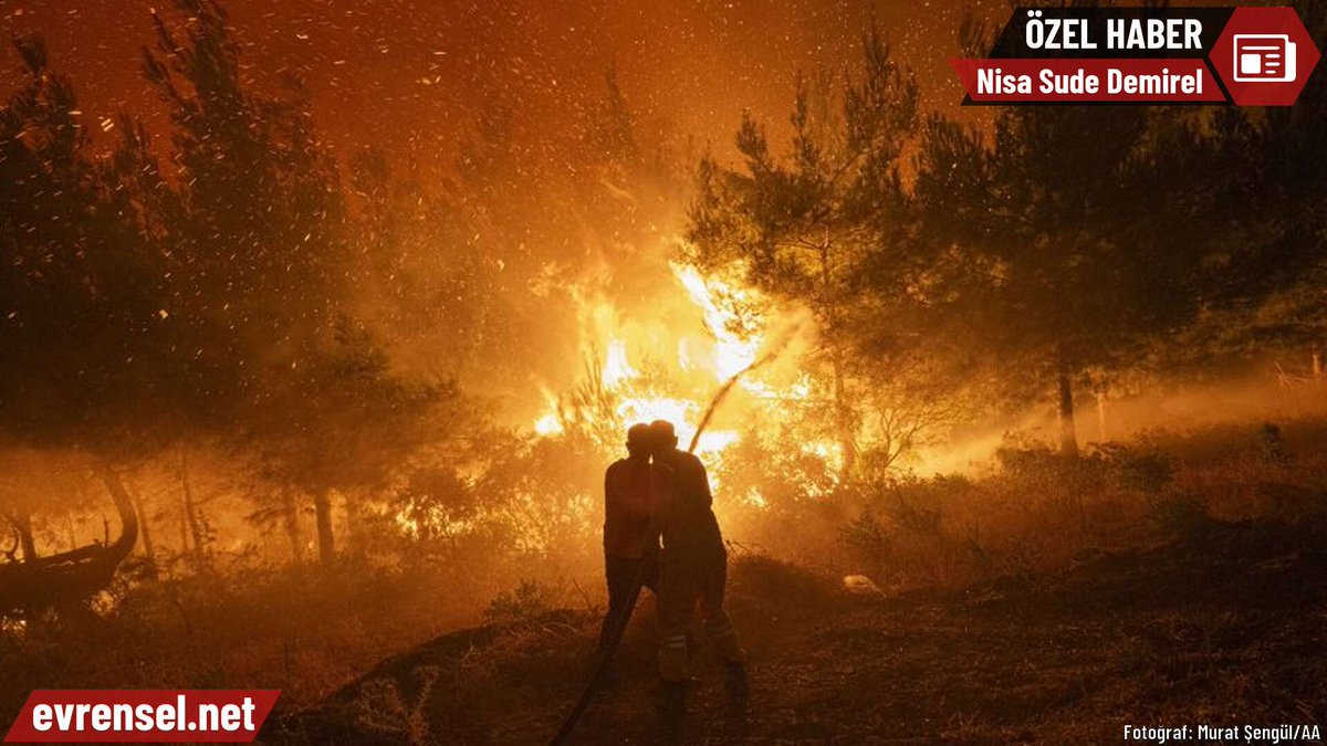 Özelleştirme Çanakkale'yi küle çevirdi: "Yeşil vatan" İngiliz tekele feda

Nisa Sude Demirel'in haberi
evrensel.net/haber/565472/o…
