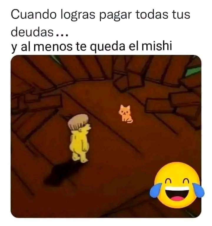 El menos tengo al gato 🐱🐾