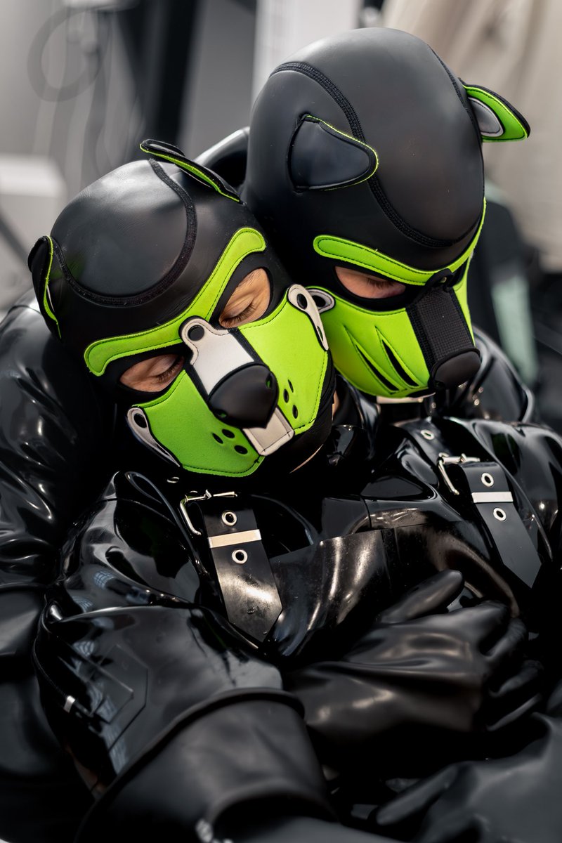 Enjoying some heavy rubber time and cuddles with <a href="/DroneRaw_/">DroneRaw</a> ! But can you tell who is who 🙃 ? 

📸 <a href="/pup_Croco/">Pup_Croco</a>
