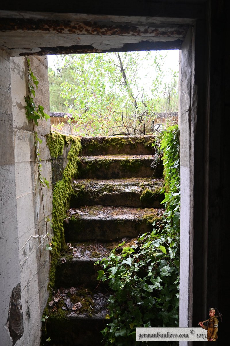 Deep in the woods on the French island of Ile-de-Re we find one of the flak batteries supporting the defence of Kora, the S 497 Fire Control tower. There are many remains in this area. Leading into the ammo rooms, camouflage hooks still present and steps leading out. #WW2