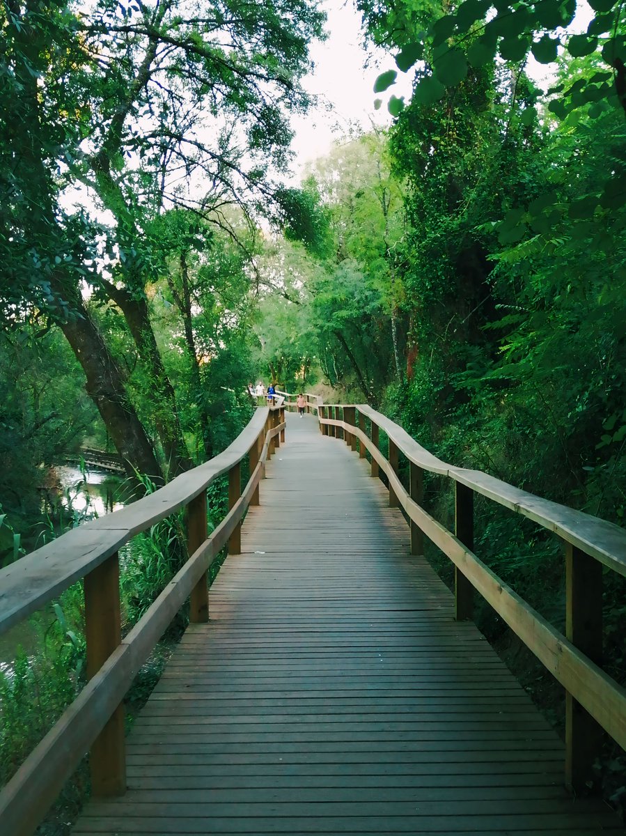 alexandrina🎀 tweet media