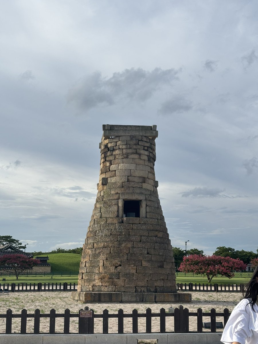 라라🐹 tweet media