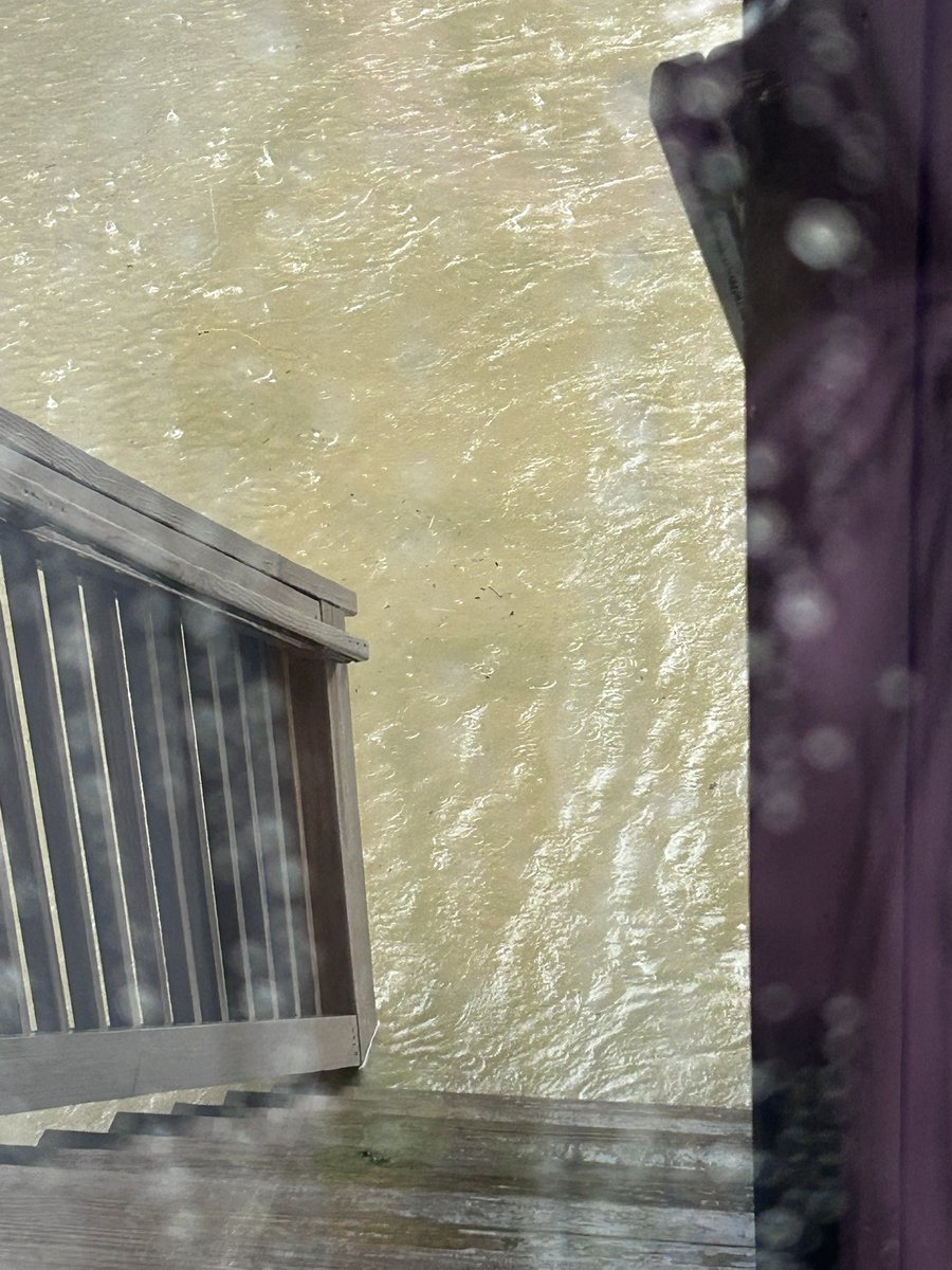 brinkleberrypie's tweet photo. Happy Wednesday, pals! Except my fren Penny has her potty area at my Mama’s work under water! Dis is da look in Penny’s face and da flooding. Dad’s coming to take her out somewhere else to take care of bidness. #stopraining https://t.co/qJIhxDfbqr