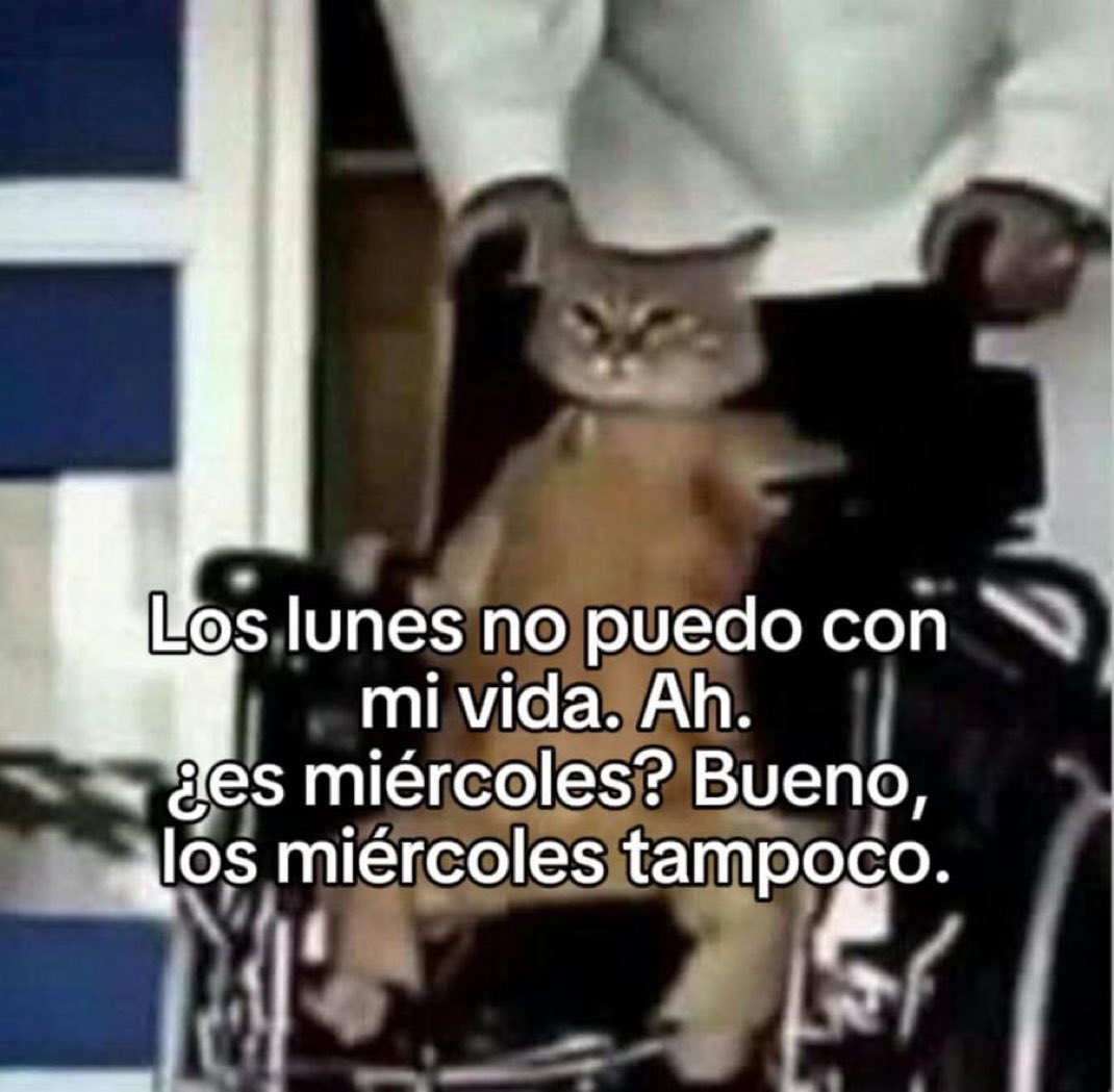 skereunpesado's tweet photo. https://t.co/oE5Ws9s2C9