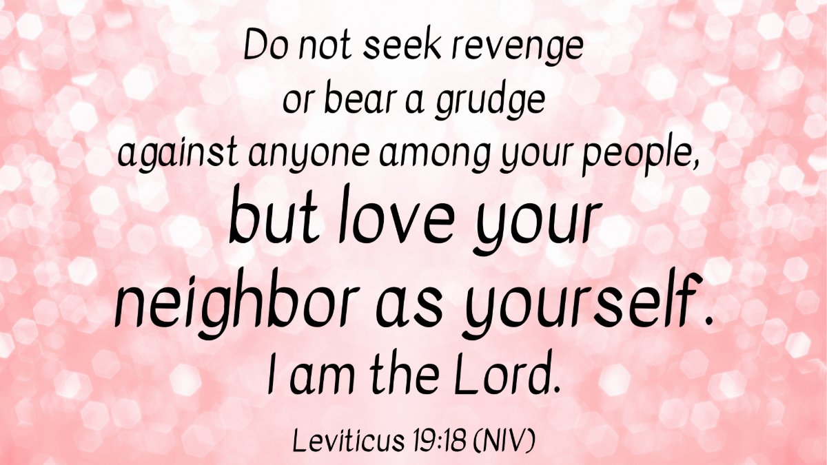 DarrellKoop's tweet image. 