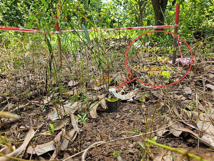 BMCInformation's tweet photo. Thailand’s Landmine Allegations: Hypocrisy, Provocation, and a Pretext for Aggression

August 12, 2025

#Opinion

Cambodia rejects once again, in the strongest terms, the unfounded accusations made by the Thai Ministry of Foreign Affairs on 12 August 2025 regarding the alleged https://t.co/lMNXV8uvhc
