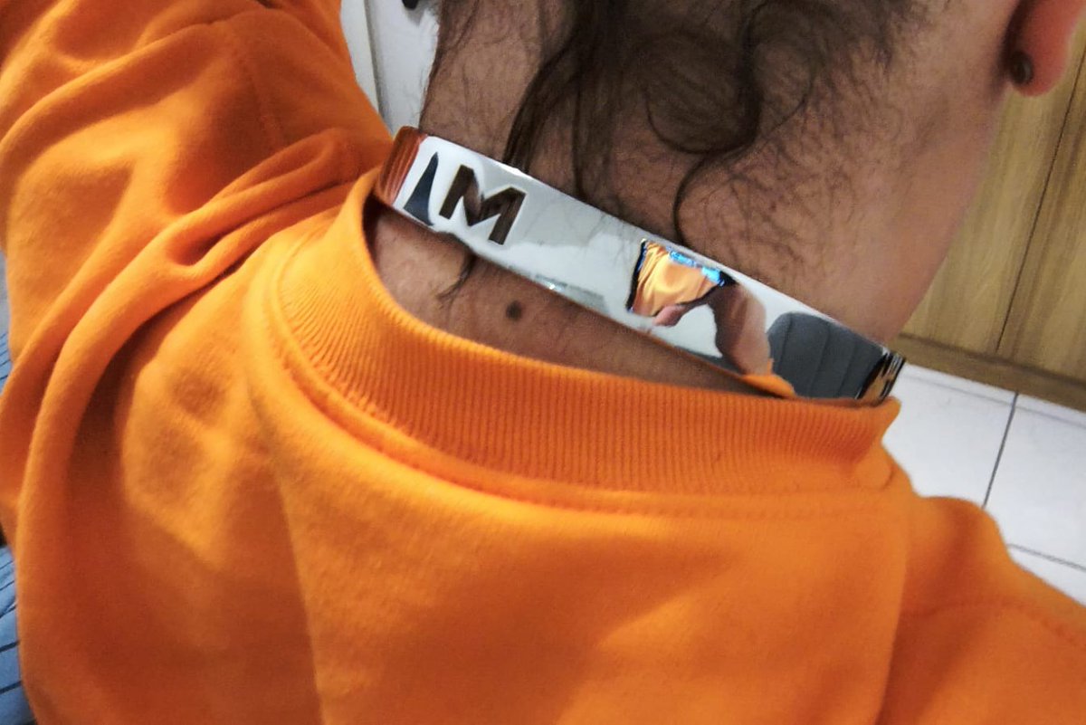 slvbenji's tweet photo. New collar, with @MstrMich's initial. https://t.co/EBXFdc5Ela