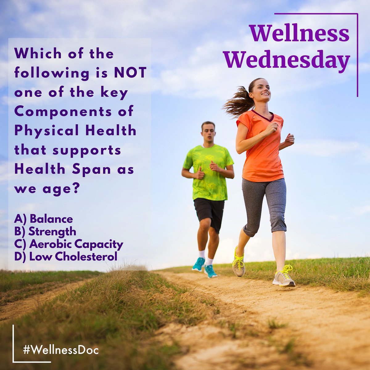 WellnessDoc2's tweet photo. Balance. Strength. Aerobic Capacity. 💪

These are the 3 pillars of physical health that keep you active, mobile, and independent as you age.

Full WellnessDoc Blog ➡️ 

https://t.co/3c7n75SkaX https://t.co/qy5IgwlirJ