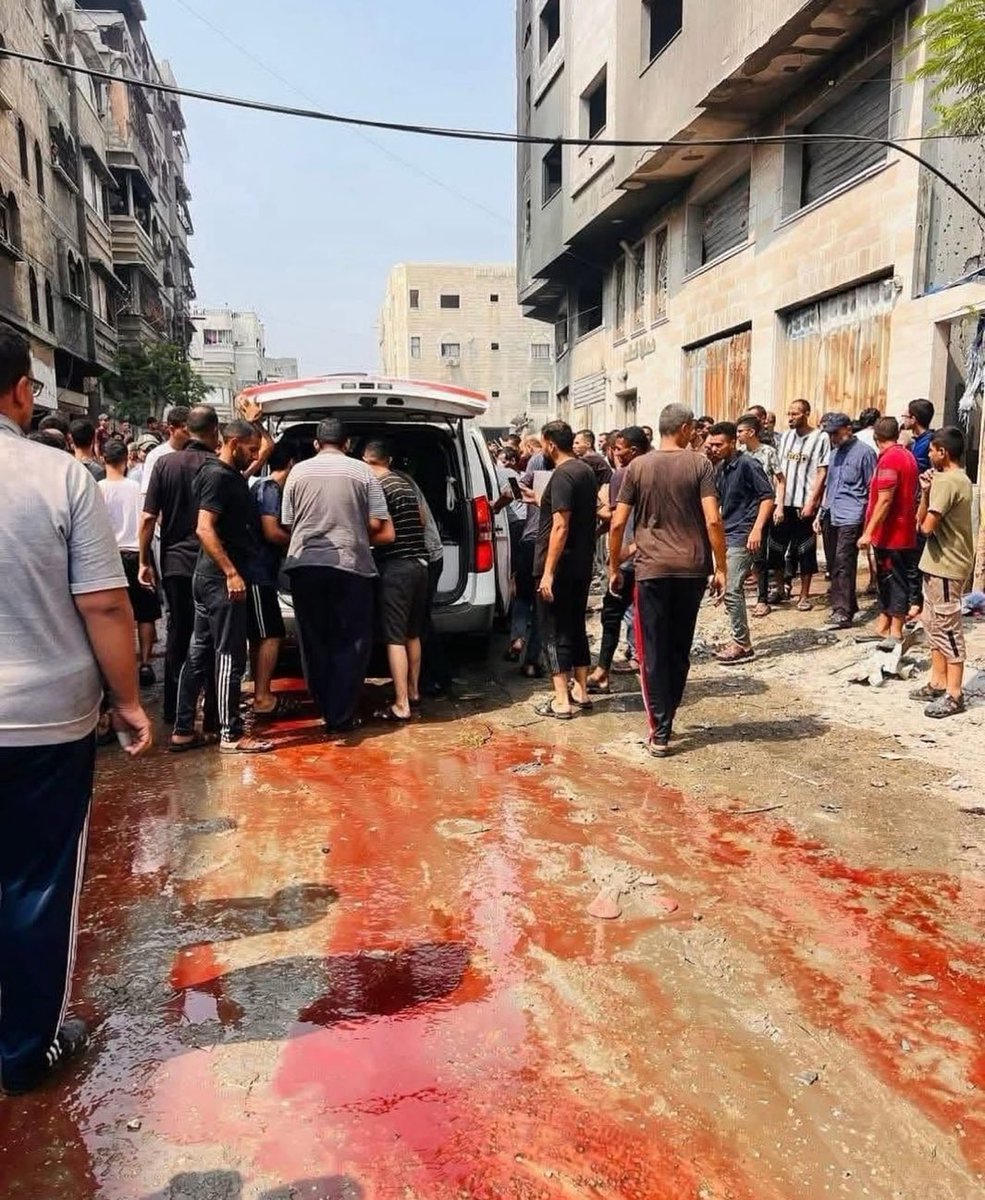 كونوا أنس الشريف وانقلوا الخبر ....

إنها غزة ..