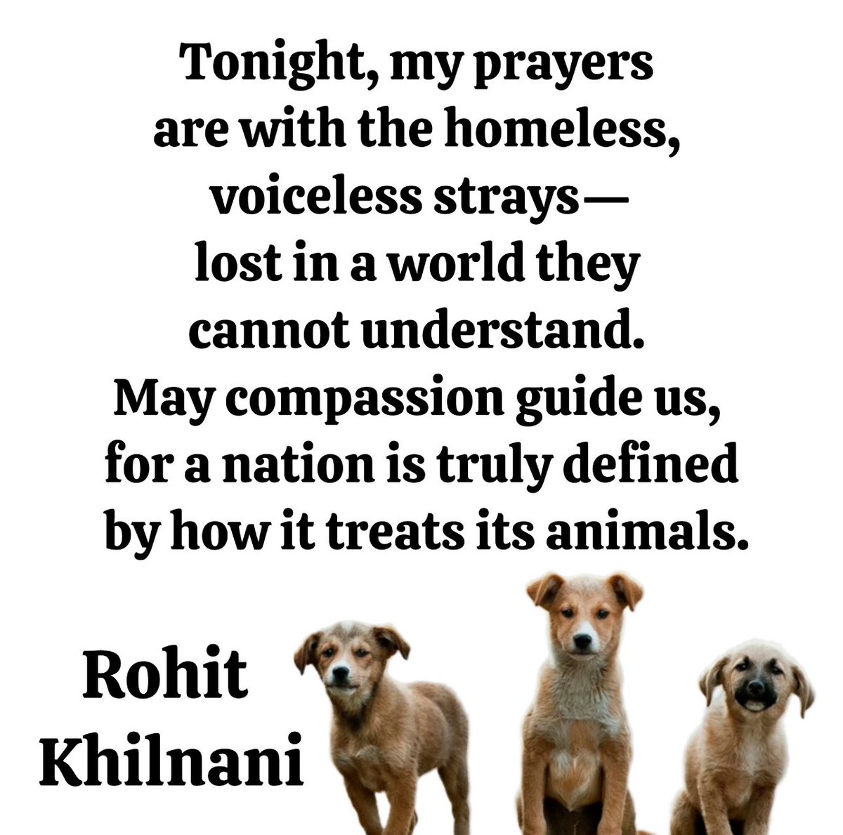Somi4animals's tweet photo. https://t.co/H67Rl9aAZm