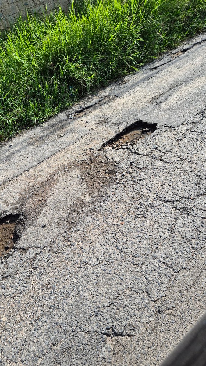 omezac's tweet photo. @ZapopanGob @Linea_Zapopan URGE reparación calles villa Juarez, entre calles alquiles serian y anastasia bustamante, https://t.co/HXaLnOPE67 https://t.co/TK42j7Aue9