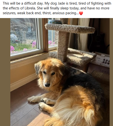 badpetmeds's tweet photo. RIP beautiful Jade. 🌈💔😢
#Librela #RecallLibrela #SayNoToLibrela https://t.co/1OgqB5cdpr