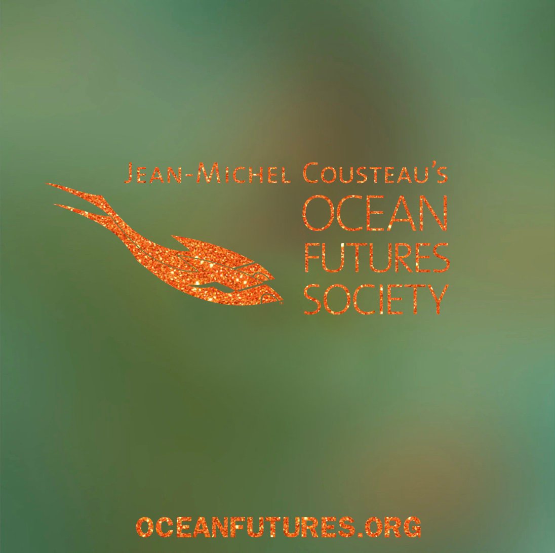 Jean-Michel Cousteau tweet media