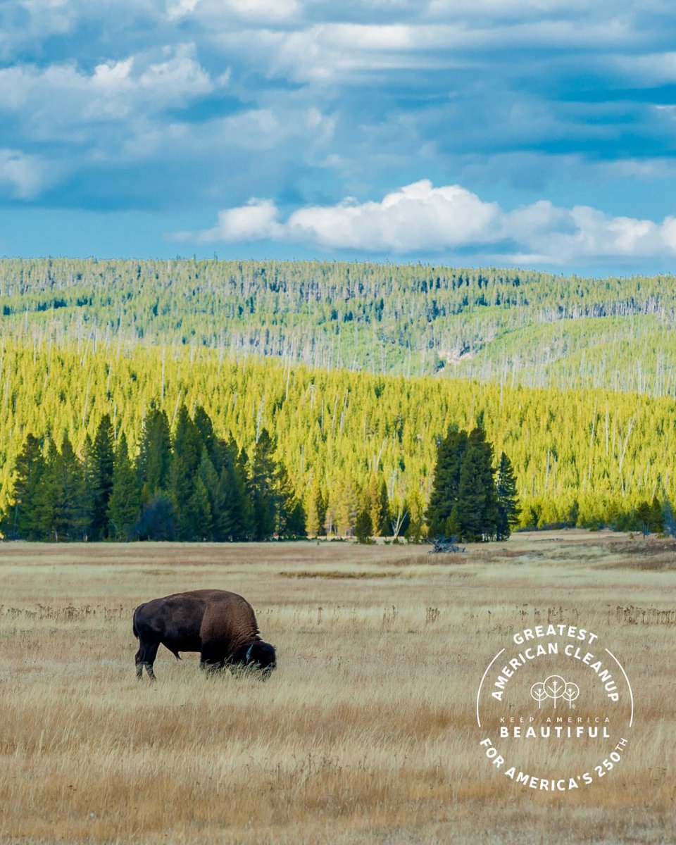 August is #AmericanAdventuresMonth - a time to #DoBeautifulThings and explore the beauty, history, and wonder of our country.

This month, take your adventure one step further. Join the #GreatestAmericanCleanup and keep America adventure-ready: kab.org/greatest