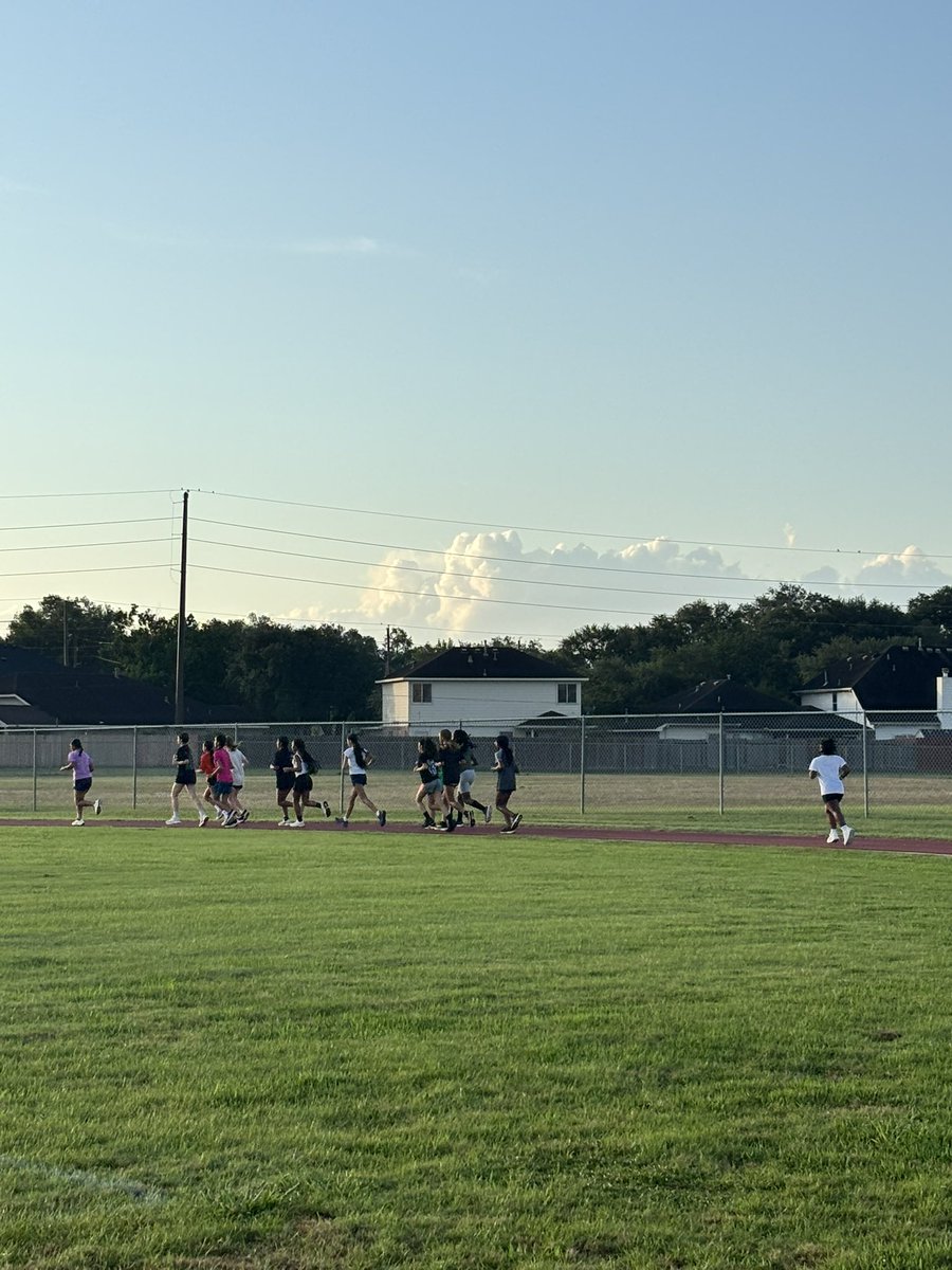 Tarah Cuervo tweet media