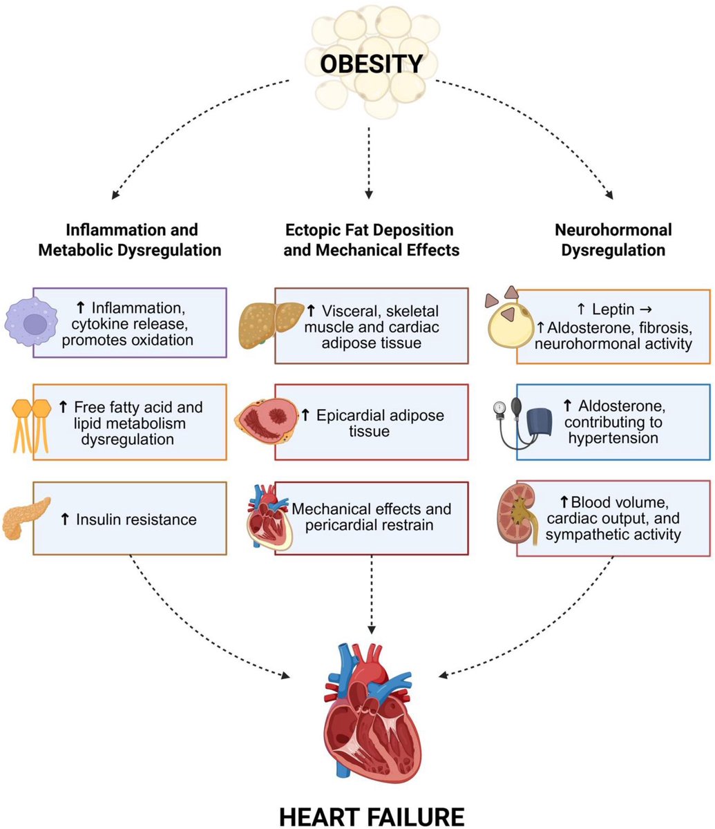 Enrique Santas tweet media