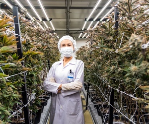 Essential Gear for Cannabis Industry Workers medicalmarijuanapages.com/essential-gear…