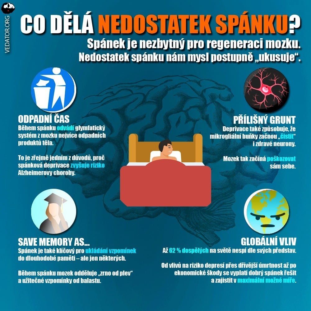 Vedator5's tweet photo. 💤 Mitochondrie mohou být důvod, proč potřebujeme spát!
Víc hír ► https://t.co/PJvC3YUrPa (link na kanál v bio) 📺
#spanek #zdravi #veda #science https://t.co/a5Hz9eHiJp
