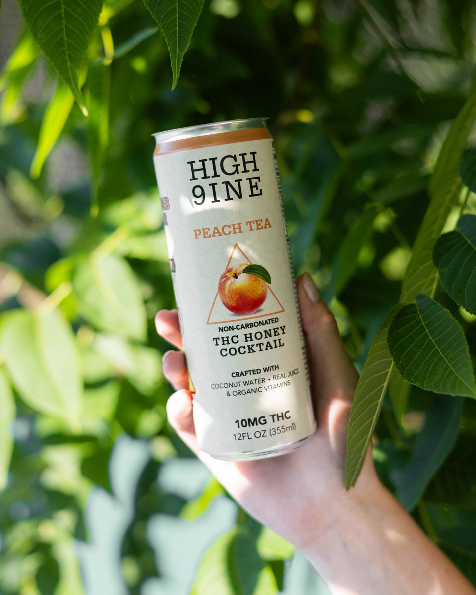 DrinkHIGH9INE's tweet photo. Midweek peach pause. 🍑✨
#high9ine #peachtea #wednesdayreset #mindfulmoment #wellnessdrink #sipandslow #humpdayvibes https://t.co/qaij9okOZM